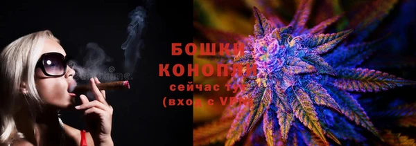 spice Богданович
