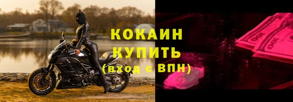 spice Богданович