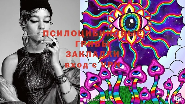спайс Белокуриха