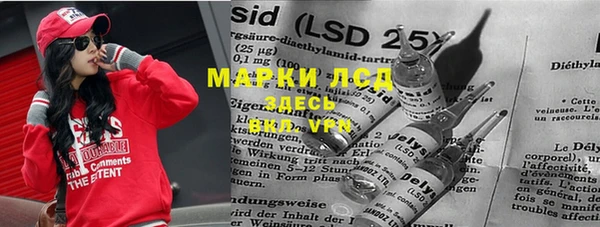 spice Богданович