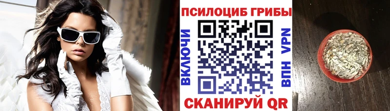 Псилоцибиновые грибы MAGIC MUSHROOMS  купить   Кемерово 